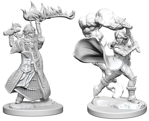 Pathfinder Deep Cuts Unpainted Miniatures: W1 Human Female Cleric Miniatures NECA   