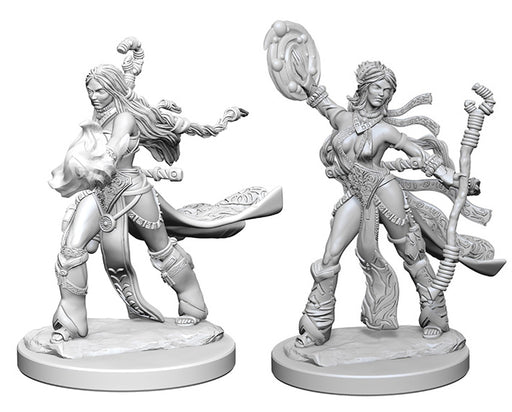 Pathfinder Deep Cuts Unpainted Miniatures: W1 Human Female Sorcerer Miniatures NECA   