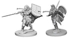 Pathfinder Deep Cuts Unpainted Miniatures: W1 Human Female Paladin Miniatures NECA   